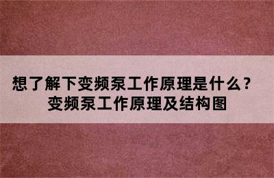 想了解下变频泵工作原理是什么？ 变频泵工作原理及结构图